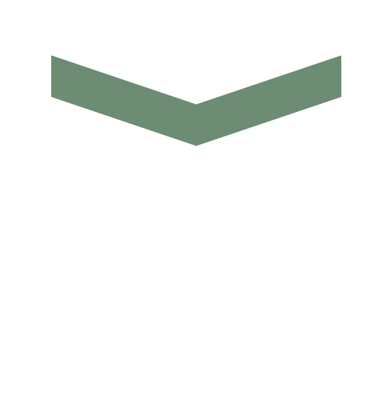 DƬ