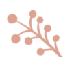 DƬ