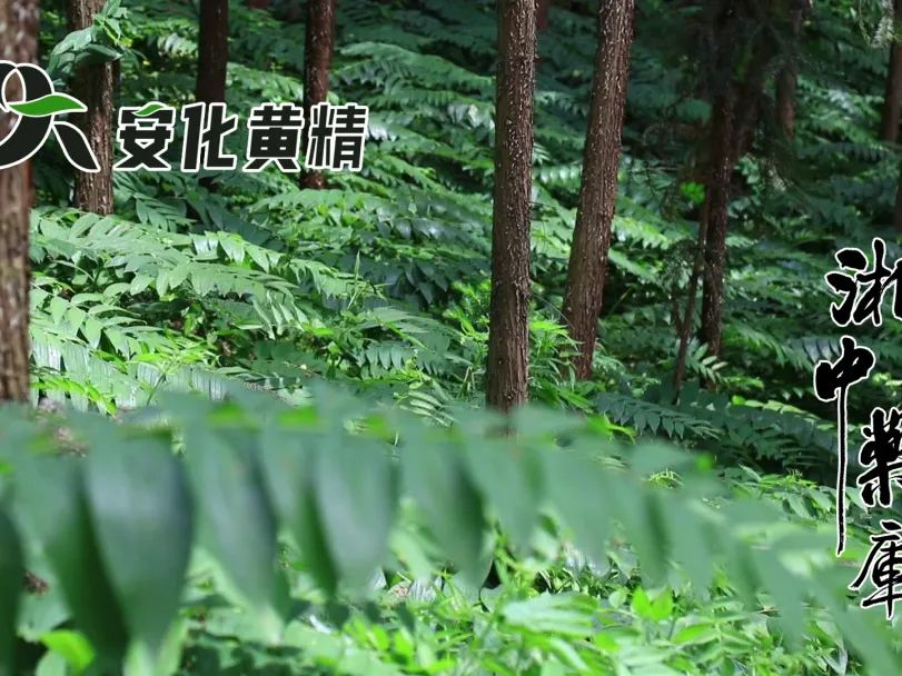 DƬ
