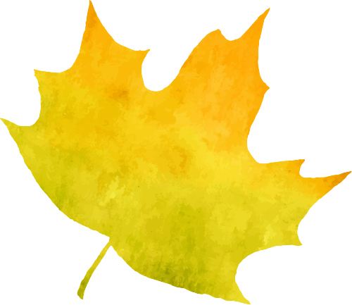 DƬ