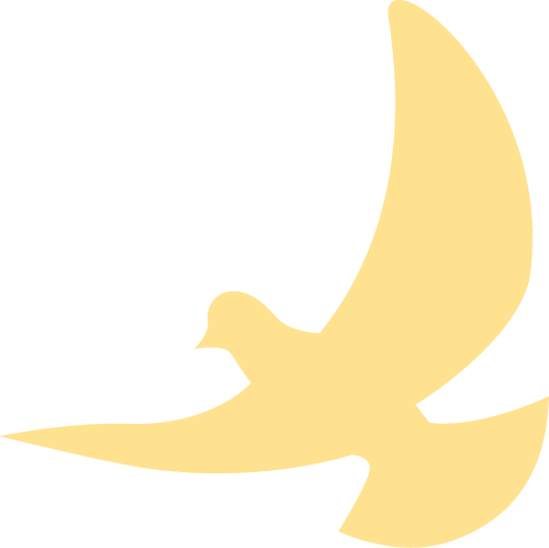 DƬ