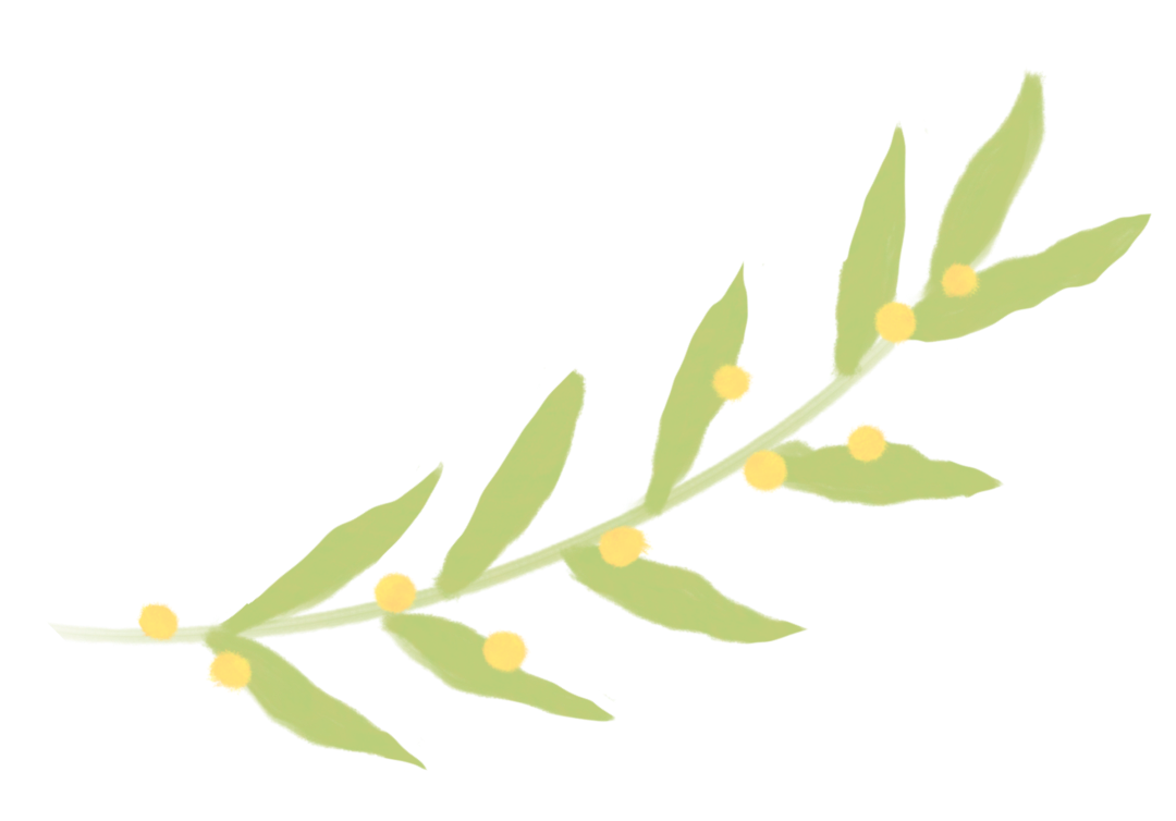 DƬ