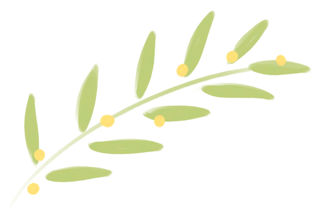 DƬ