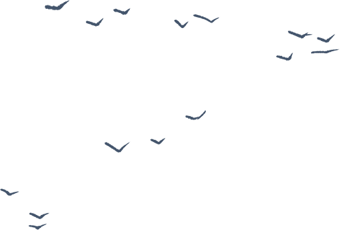 DƬ