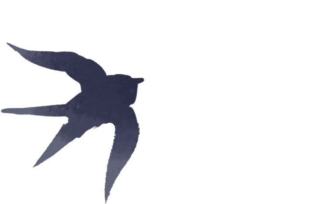 DƬ