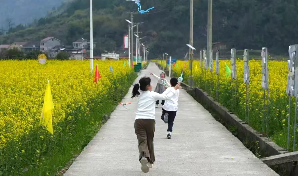 䡰 | Ϫ Ͳ˻