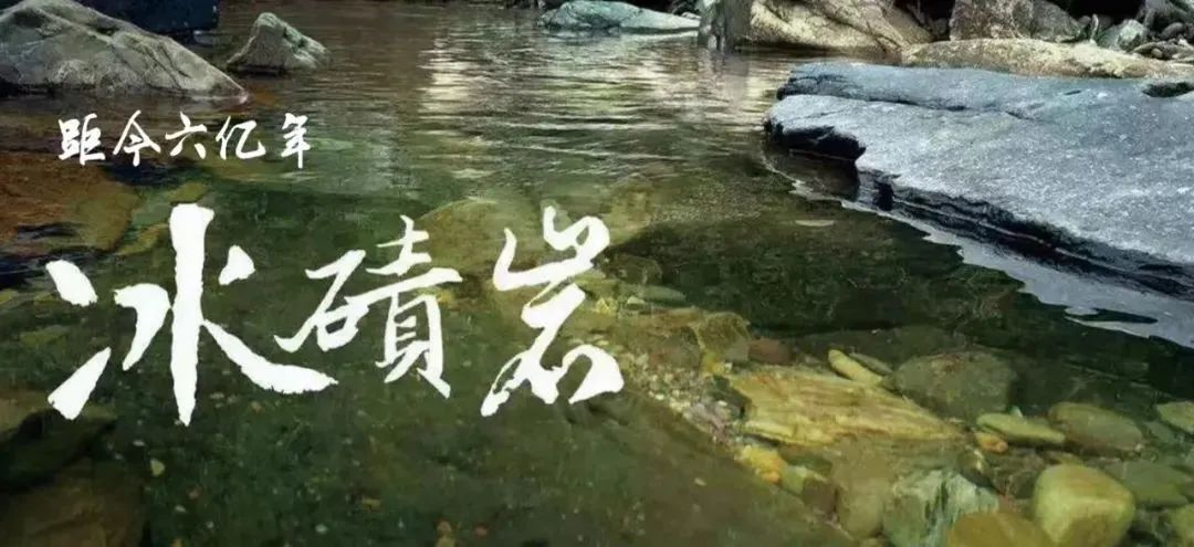 DƬ
