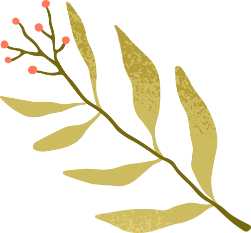 DƬ