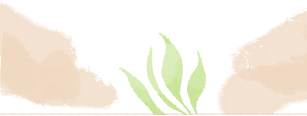 DƬ