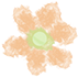DƬ