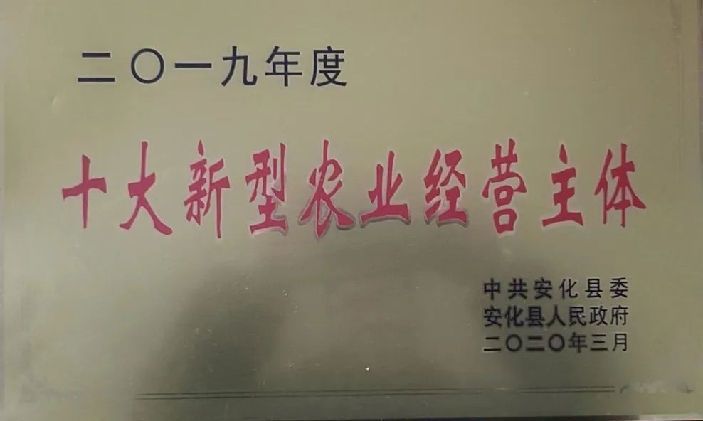 DƬ