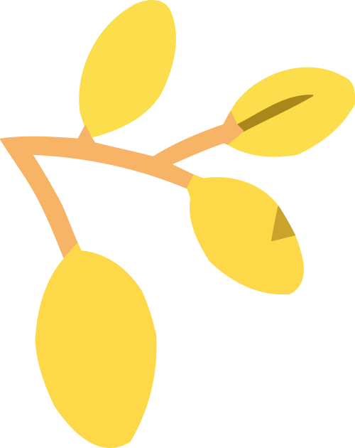 DƬ
