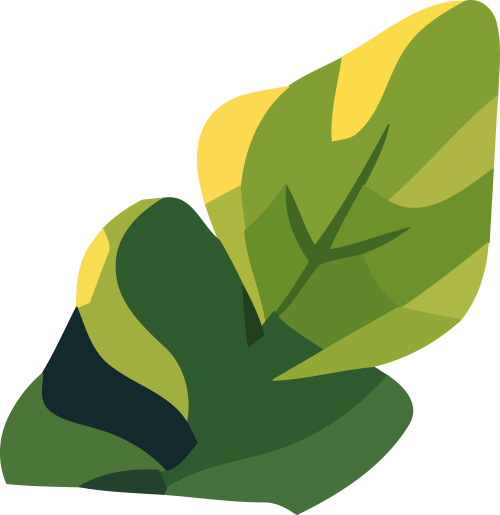 DƬ