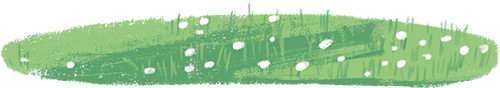 DƬ